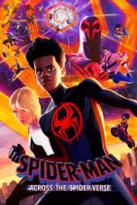 Spider Man: Across the Spider-Verse